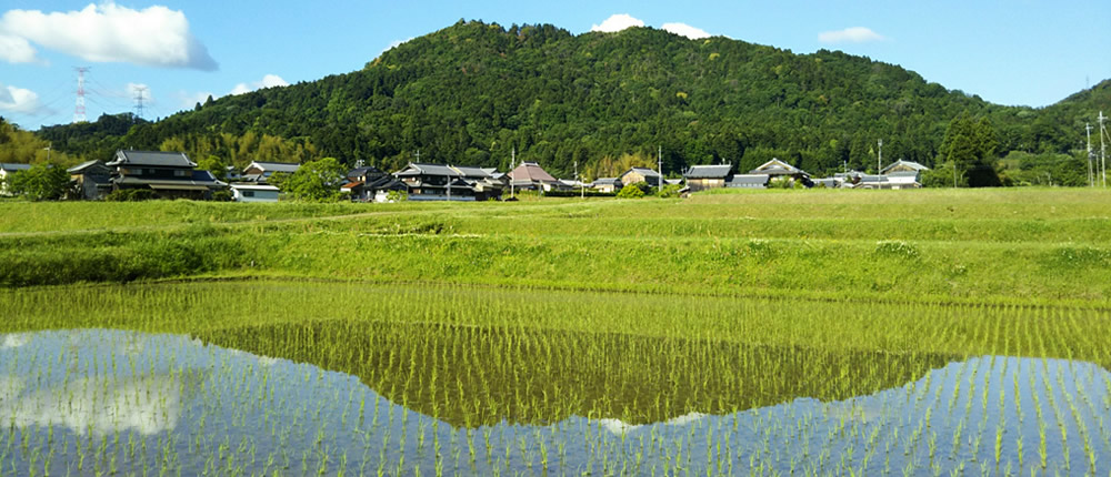 写真：山上 庚申さん