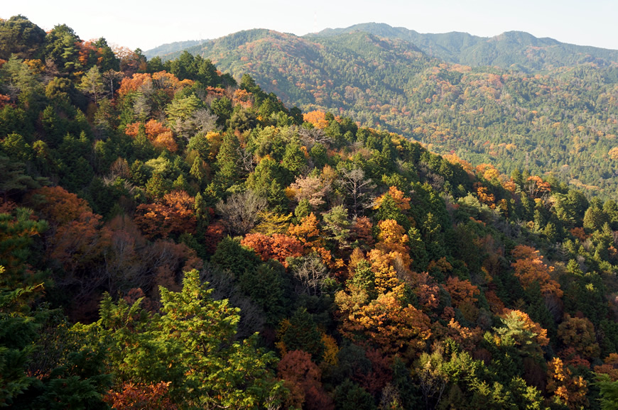 写真：現場の現況