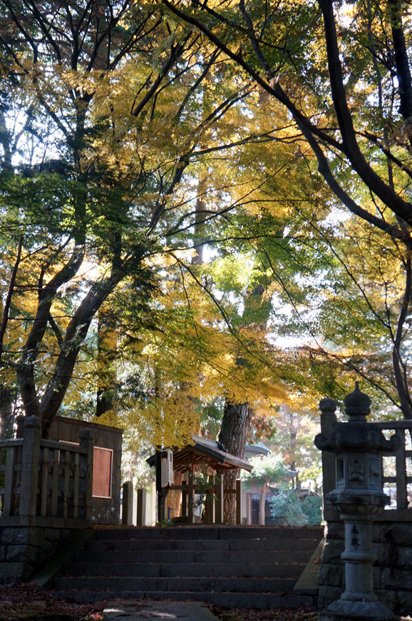 写真：現場の現況