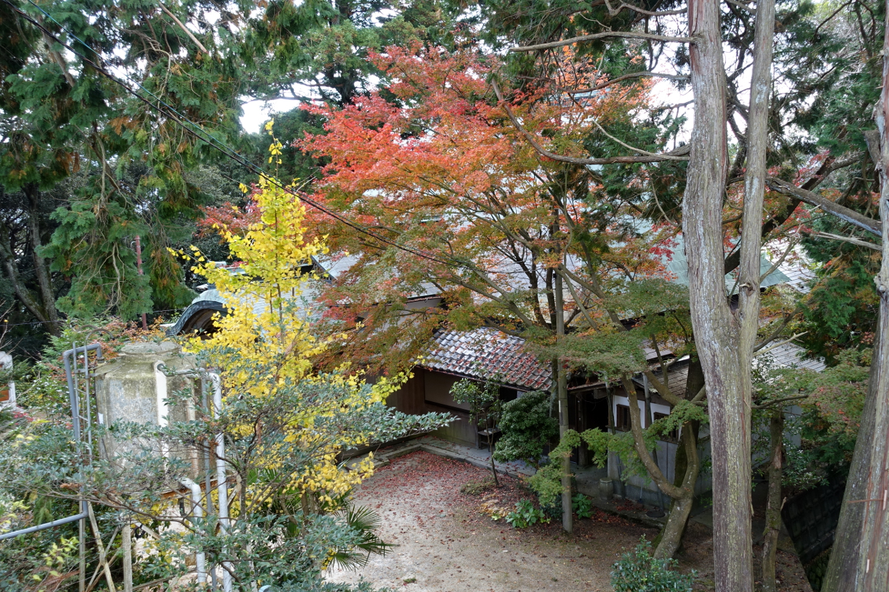 庚申さんリポート