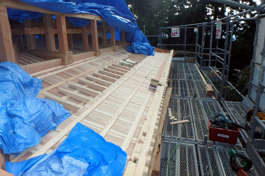 写真：現場の現況